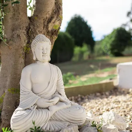 Quinta Foz Arelho Piscina Aquecida Nyaraló *