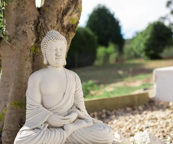 Quinta Foz Arelho Piscina Aquecida Prázdninový dům *