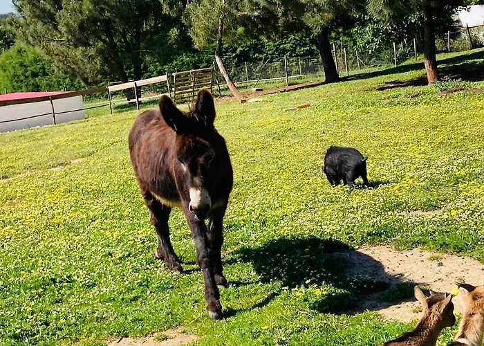 Casa de Férias Quinta Foz Arelho Piscina Aquecida Foz do Arelho